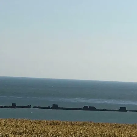 Appt 1.5km Plages Du Debarquement *