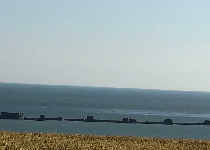 Appt 1.5km Plages Du Debarquement *